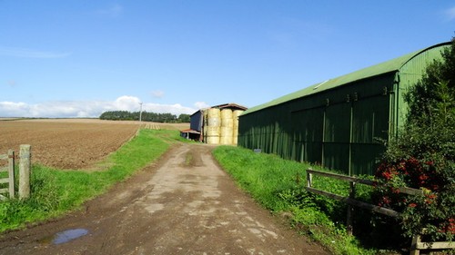 Photo 6x4 farm - photo, at