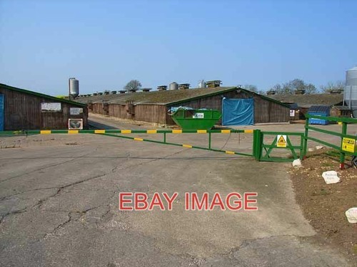 Photo poultry sheds at - ,