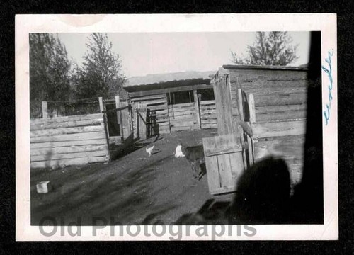Rural rustic farm - rural,