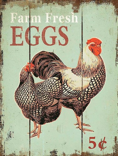 Farm fresh eggs retro vintage - eggs,,