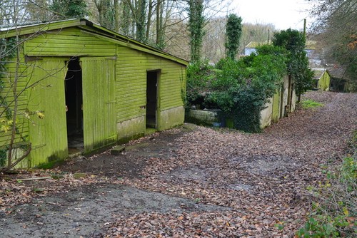 Photo 6x4 mossy sheds - mossy,